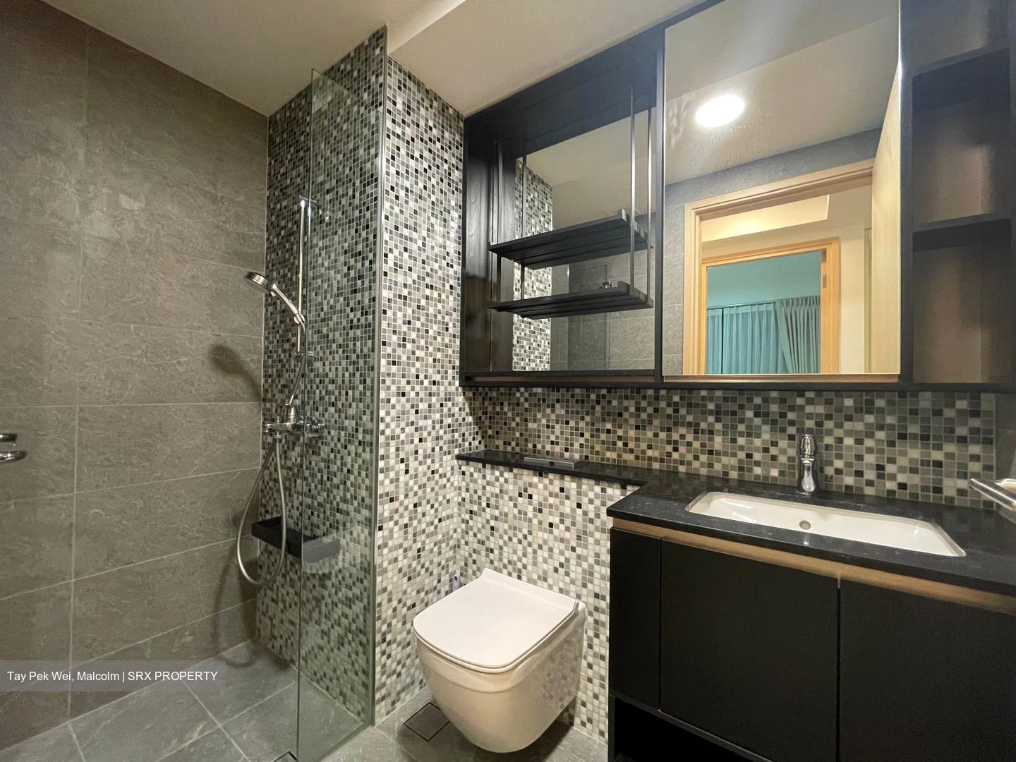 The Antares (D14), Apartment #469336321